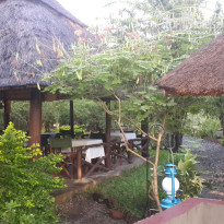 фото из отзыва ID 1960148