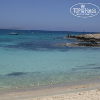 фото из отзыва ID 1960235