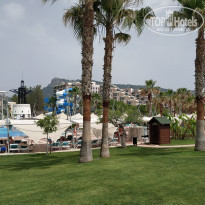 фото из отзыва ID 1960490