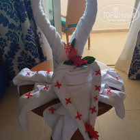 фото из отзыва ID 1960564