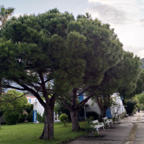 фото из отзыва ID 1960627