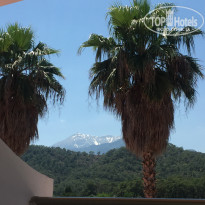 фото из отзыва ID 1960704