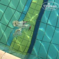 фото из отзыва ID 1960793