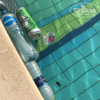 фото из отзыва ID 1960793