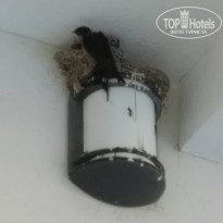 фото из отзыва ID 1960867