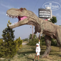 фото из отзыва ID 1960867