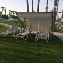 фото из отзыва ID 1960868