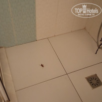 фото из отзыва ID 1960966