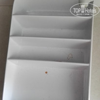 фото из отзыва ID 1960387