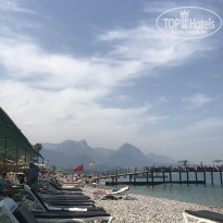 фото из отзыва ID 1961210