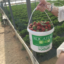 фото из отзыва ID 1961226