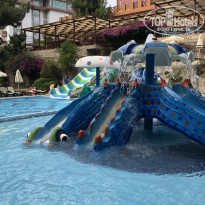 фото из отзыва ID 1961350