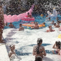 фото из отзыва ID 1961435