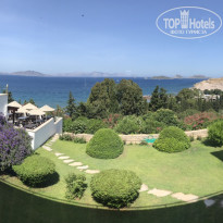 фото из отзыва ID 1961548