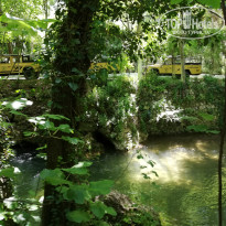 фото из отзыва ID 1961603