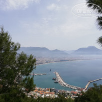 фото из отзыва ID 1961603