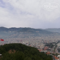 фото из отзыва ID 1961603