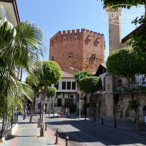 фото из отзыва ID 1961603