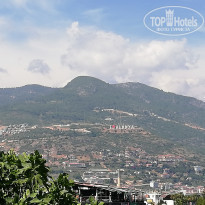 фото из отзыва ID 1961603