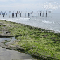 фото из отзыва ID 1961689