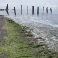 фото из отзыва ID 1961689