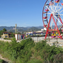 фото из отзыва ID 1961689