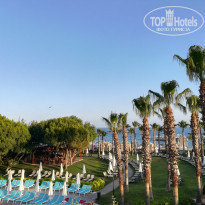 фото из отзыва ID 1961824