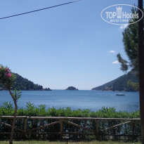 фото из отзыва ID 1961908