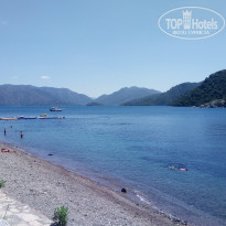 фото из отзыва ID 1961908