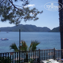 фото из отзыва ID 1961908