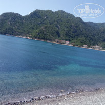 фото из отзыва ID 1961908