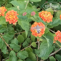 фото из отзыва ID 1961458