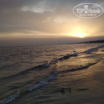 фото из отзыва ID 1961458