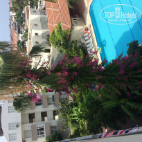 фото из отзыва ID 1961997