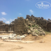 фото из отзыва ID 1961997