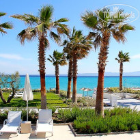 фото из отзыва ID 1962025