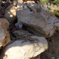 фото из отзыва ID 1962124