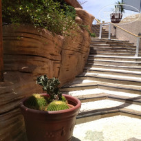 фото из отзыва ID 1962127