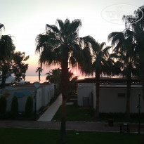 фото из отзыва ID 1962157