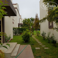 фото из отзыва ID 1962000