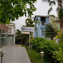 фото из отзыва ID 1962000