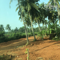 фото из отзыва ID 1962204