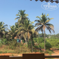 фото из отзыва ID 1962204