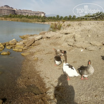 фото из отзыва ID 1961364