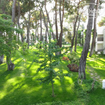 фото из отзыва ID 1962227