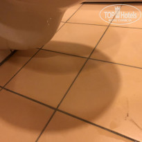 фото из отзыва ID 1962313