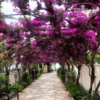 фото из отзыва ID 1962401