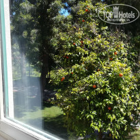 фото из отзыва ID 1962369