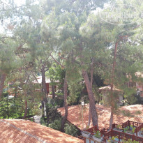 фото из отзыва ID 1962416