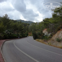 фото из отзыва ID 1962369